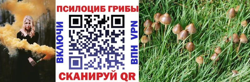 Псилоцибиновые грибы мицелий  Боготол 